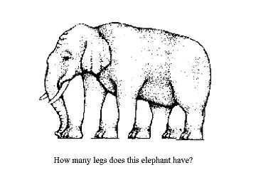 elephant.jpg - 17159 Bytes