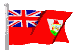 bermuda.gif